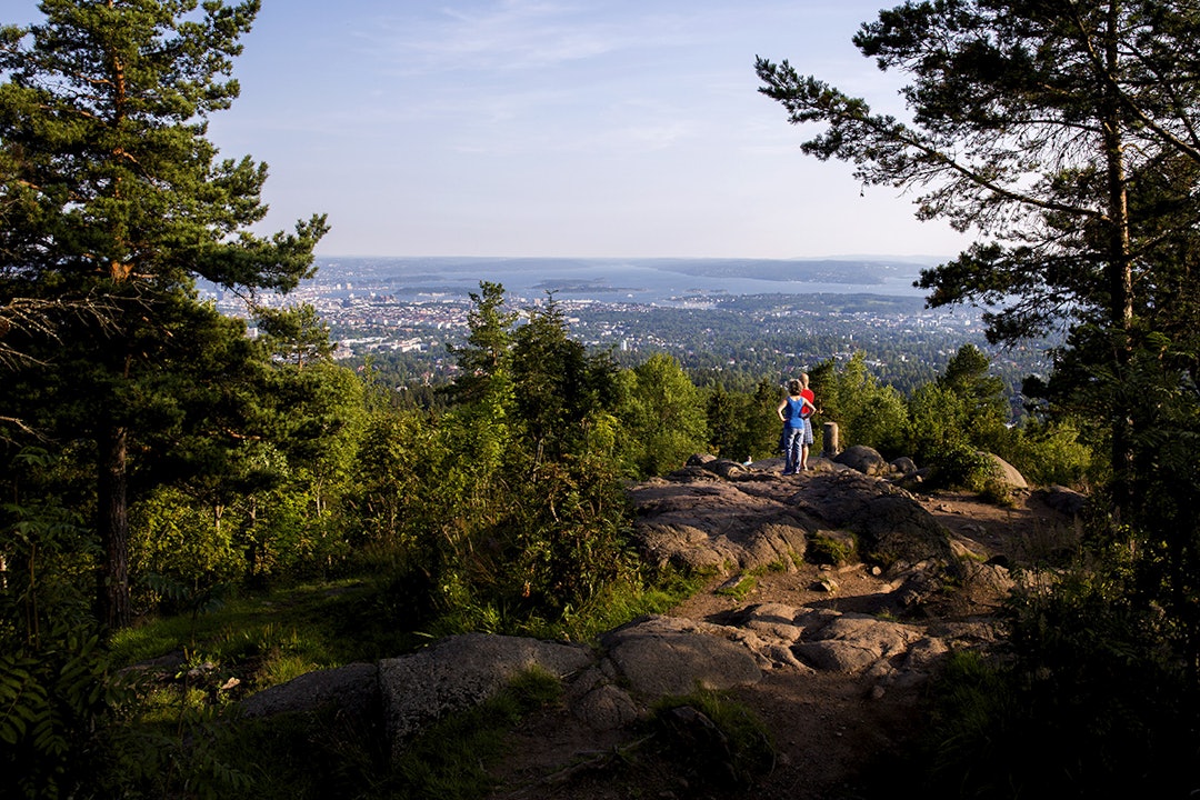 UTSIKT: På Vettakollen får du mye utsikt for innsatsen. Foto: Line Hårklau vettakollen sommer