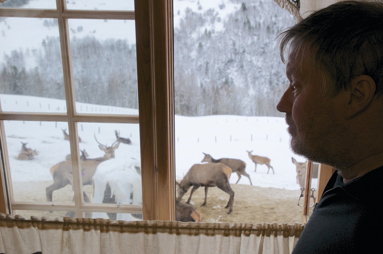 Mange om maten: Her er det mange dyr omkring siloballen, stort sett fredelig, men med streng rangordning. Mange om maten: Her er det mange dyr omkring siloballen, stort sett fredelig, men med streng rangordning.