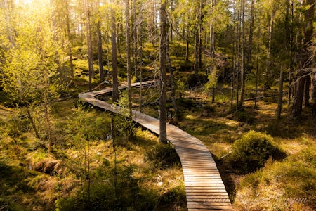 STI-ELDORADO: Prosessen med å jobbe fram nasjonalpark i Østmarka utenfor Oslo har engasjert sykkelmiljøet. Bilde fra Pionéren i Øsmarka. : Snorre Veggan nasjonalpark østmarka
