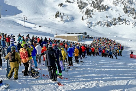 KJEMPEKØ: Skikjørere må smøre seg med tålmodighet når de skal kjøre med Peak Chair i Whistler. Foto: Stian Hagen KJEMPEKØ: Skikjørere må smøre seg med tålmodighet når de skal kjøre med Peak Chair i Whistler. Foto: Stian Hagen
