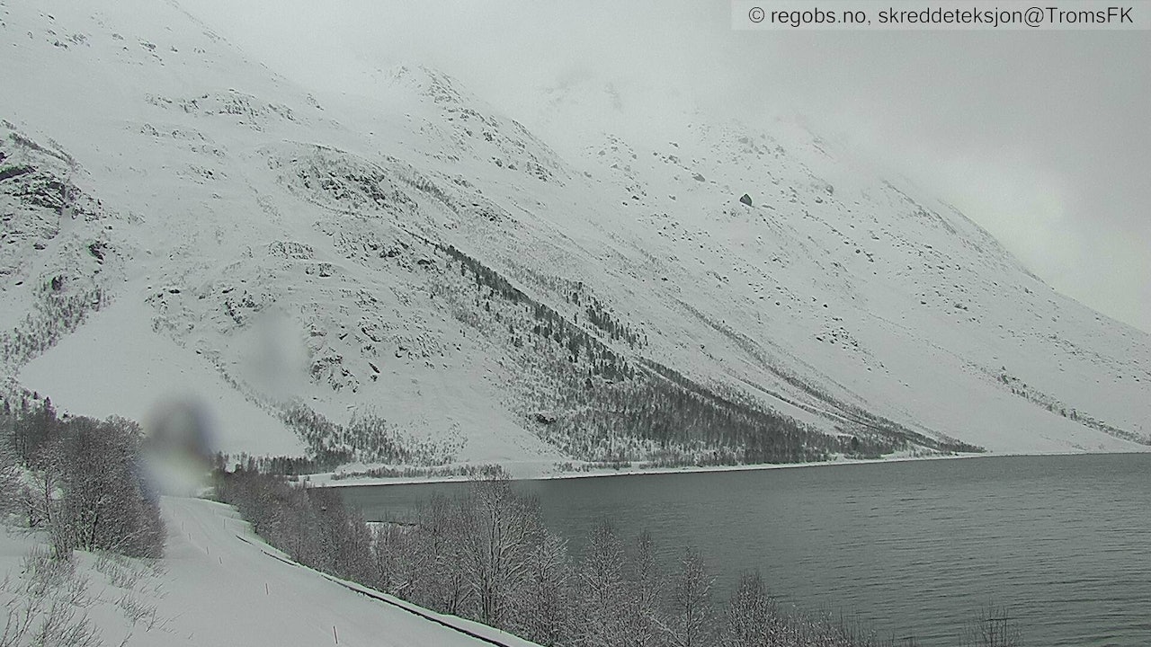 SKRED: Store snømengder fører til farlige skred. Dette bildet fra Lyngen 30. mars er tatt av et selvutløsende kamera som aktiveres når det går skred. Foto: regobs.no / skreddeteksjon@TromsFK SKRED: Store snømengder fører til farlige skred. Dette bildet fra Lyngen 30. mars er tatt av et selvutløsende kamera som aktiveres når det går skred. Foto: regobs.no / skreddeteksjon@TromsFK