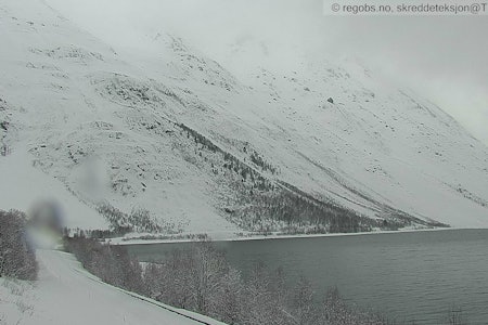 SKRED: Store snømengder fører til farlige skred. Dette bildet fra Lyngen 30. mars er tatt av et selvutløsende kamera som aktiveres når det går skred. Foto: regobs.no / skreddeteksjon@TromsFK SKRED: Store snømengder fører til farlige skred. Dette bildet fra Lyngen 30. mars er tatt av et selvutløsende kamera som aktiveres når det går skred. Foto: regobs.no / skreddeteksjon@TromsFK