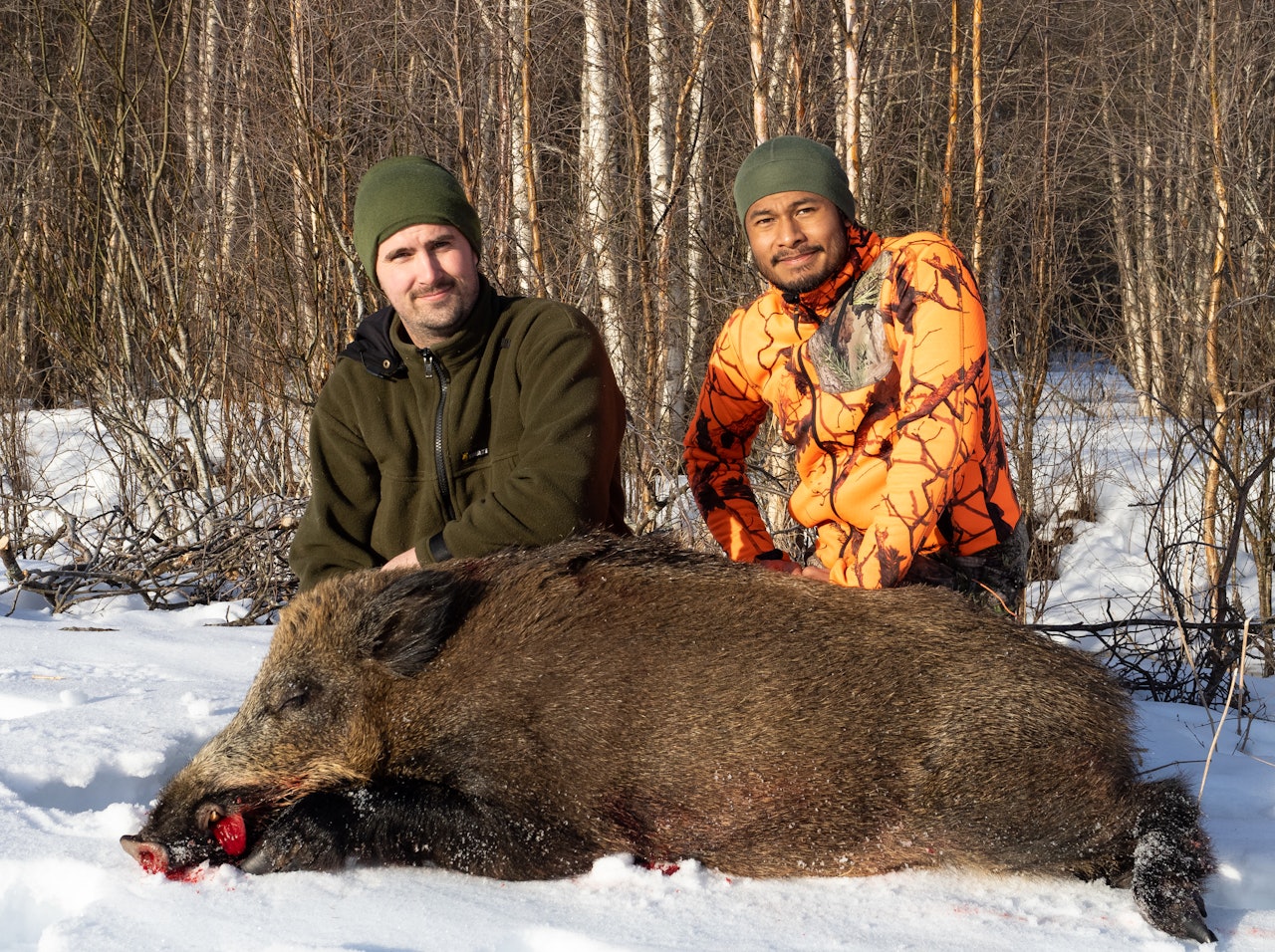 Kjell Ola Stubsveen og Alex Åsbrenn fikk en svært spennende start på påskefeiringen. Foto: Jo Stenersen skutt villsvin i rendalen