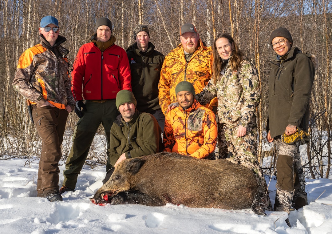 Et fornøyd jaktlag med sjelden fangst i Rendalen. Foto: Jo Stenersen villsvinjakt jaktlag rendalen