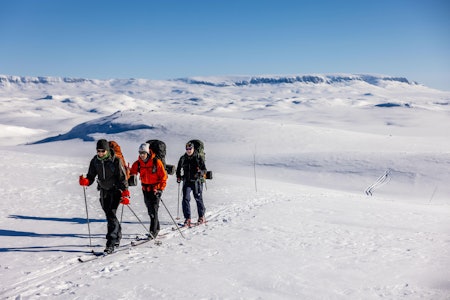 FJELLSKI-VINTER: Årets påske startet med fantastisk vær i fjellet. Hyttene på Hardangervidda er fulle av skiturister. Foto: Jørgen Braastad hardangervidda med fjellski