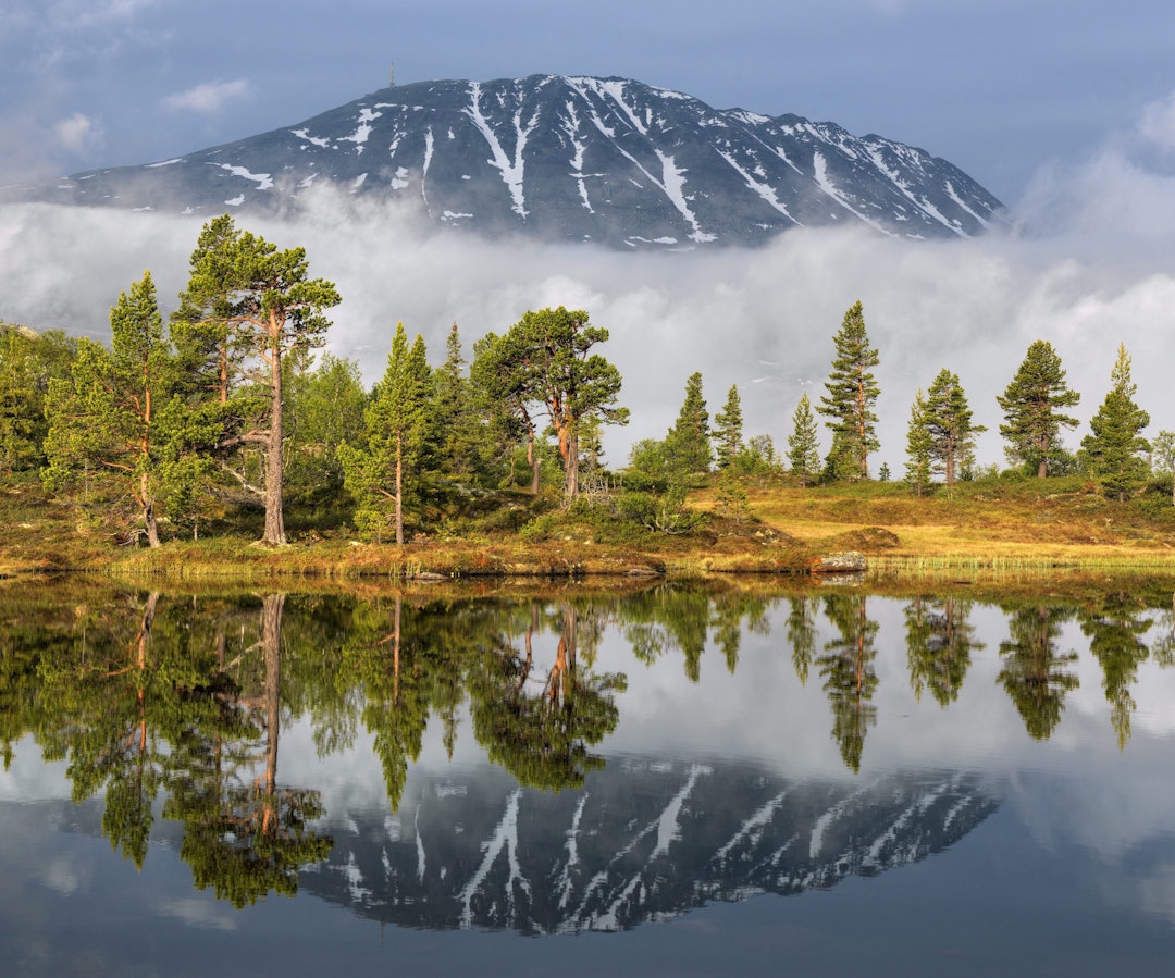 Gaustatoppen, sett nedenfra. Foto: Bård Løken NN/Samfoto gaustatoppen