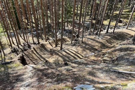 VÅRYR? Stiene i Nesbyen er kanskje ekstra gode om våren, når du kommer ut av vinterdvalen. Foto: Knut Lønnqvist. nesbyen trail camp