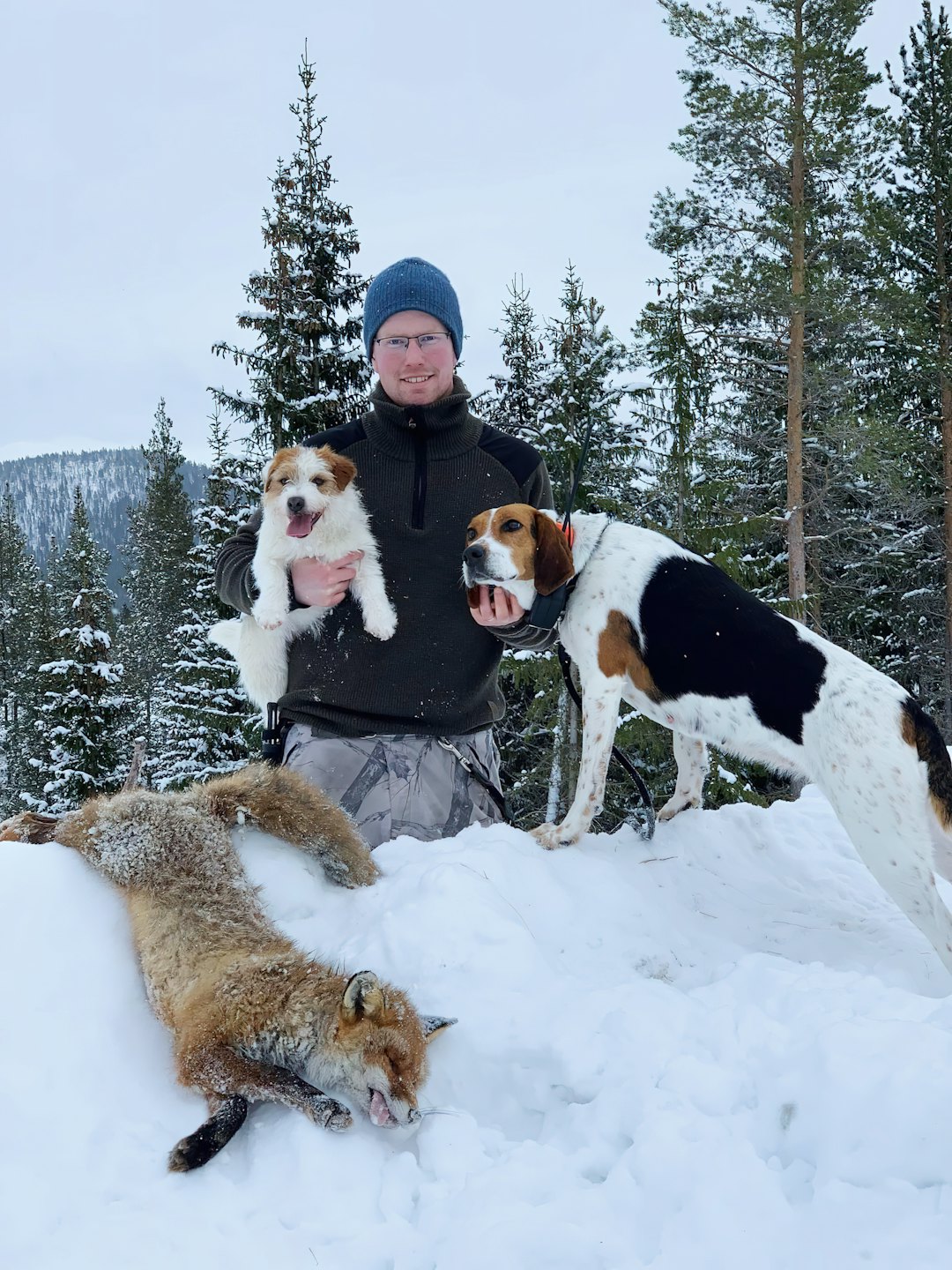 TRIO MED JAKTLYKKE: Posering med den første reven Knut Harald fikk skyte for terrieren Max (valp av den første hihunden hans, Dacey). Støveren Pia sporet den inn. TRIO MED JAKTLYKKE: Posering med den første reven Knut Harald fikk skyte for terrieren Max (valp av den første hihunden hans, Dacey). Støveren Pia sporet den inn.
