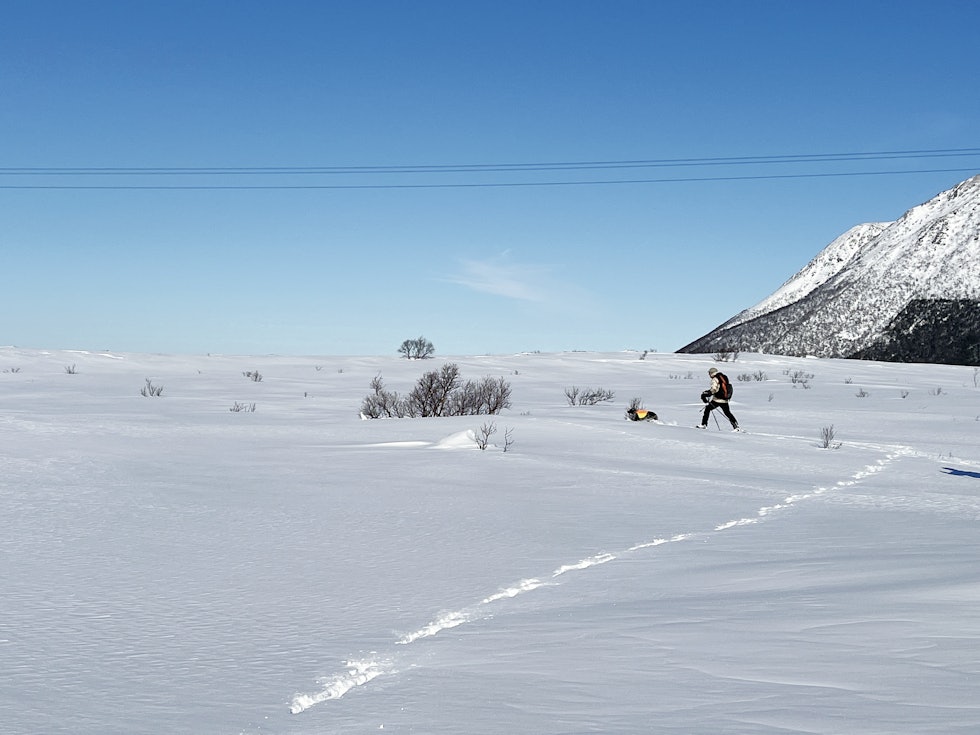 NM Vinter Høyfjell 2023 | JEGER.NO