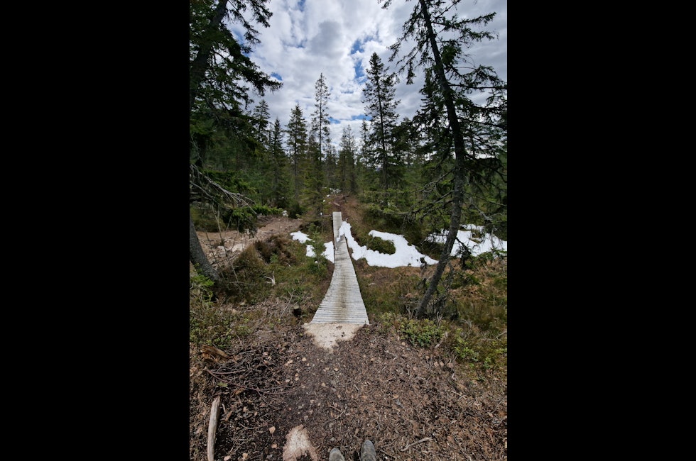 drammen bike park sesongåpning