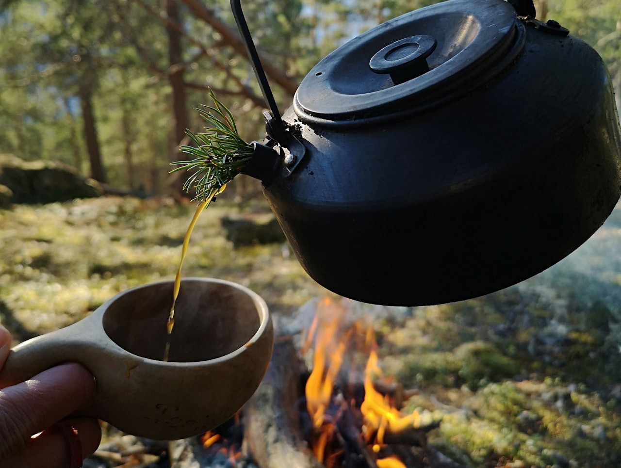 Retten til å tenne bål er en viktig del av allemannsretten i Norge, men det er viktig å sette seg godt inn i bålreglene. Gnister kan fly langt. Selv om det er vått og fuktig der du er, kan det være tørt like i nærheten. Foto: Espen Hermans bålkaffe