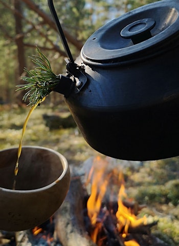 Retten til å tenne bål er en viktig del av allemannsretten i Norge, men det er viktig å sette seg godt inn i bålreglene. Gnister kan fly langt. Selv om det er vått og fuktig der du er, kan det være tørt like i nærheten. Foto: Espen Hermans bålkaffe