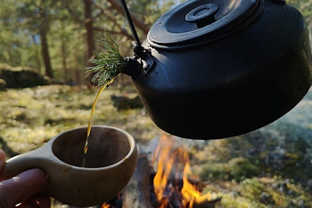 Retten til å tenne bål er en viktig del av allemannsretten i Norge, men det er viktig å sette seg godt inn i bålreglene. Gnister kan fly langt. Selv om det er vått og fuktig der du er, kan det være tørt like i nærheten. Foto: Espen Hermans bålkaffe