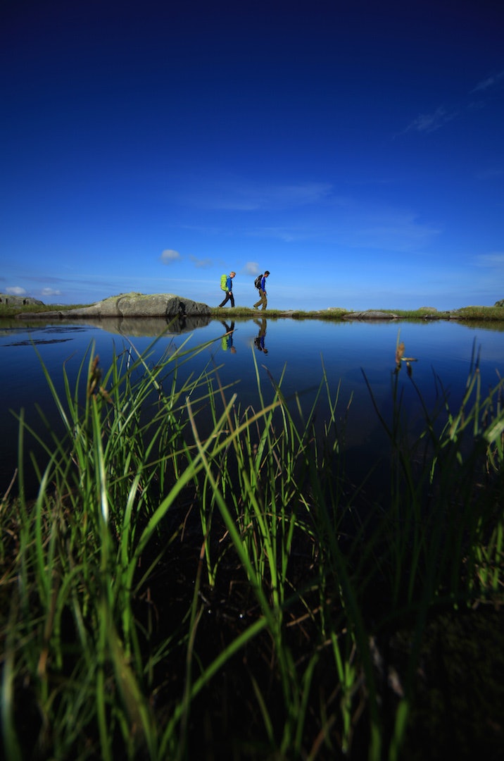 IDYLL: Fjellturer innebærer ikke bare gråstein. I hvert fall ikke her. rosendalsalpene