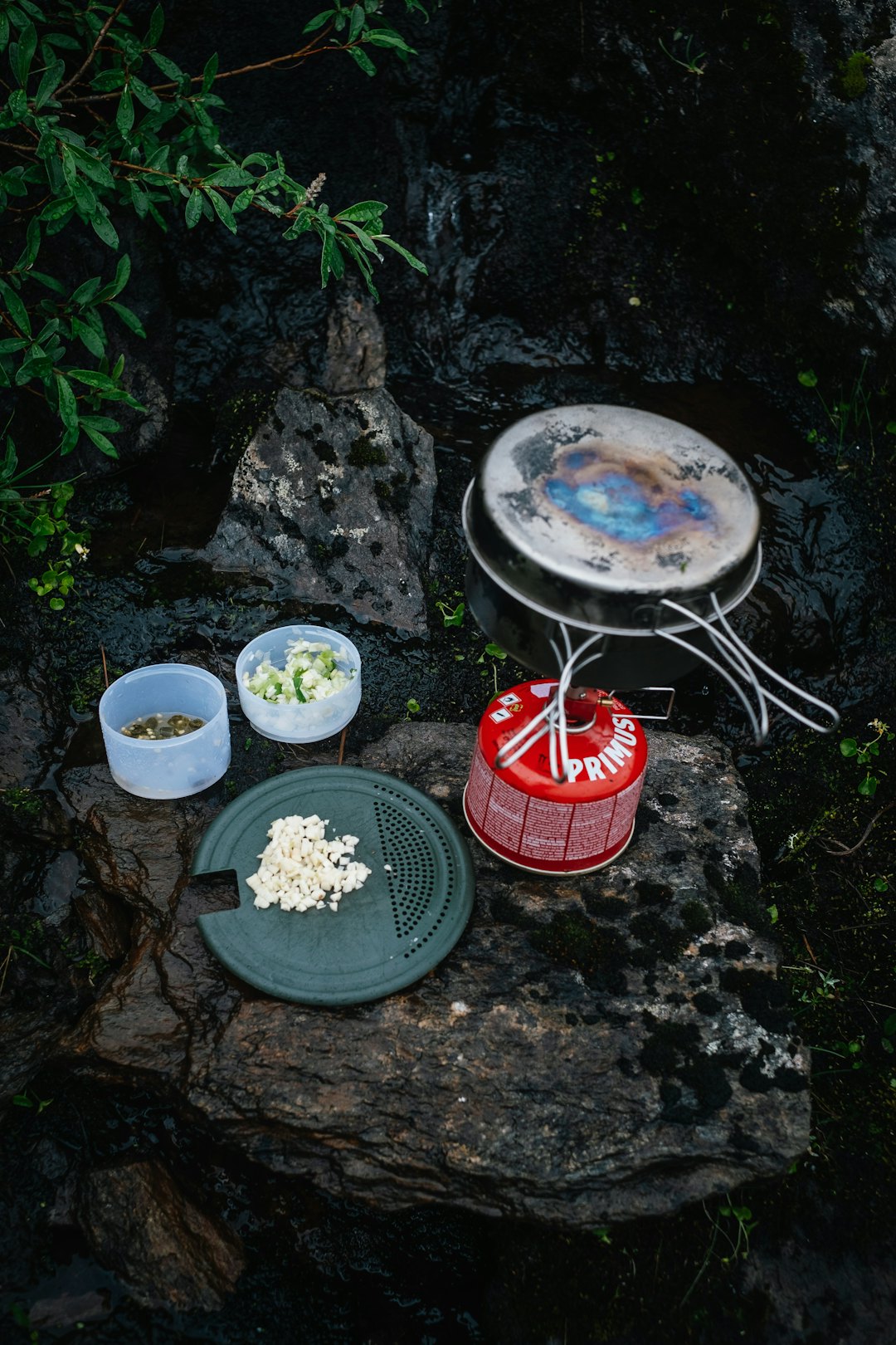 ENKELT Å FÅ TIL: Har du en brenner og stekepanne, er du godt rustet. Foto: Oskar Karlin turmat