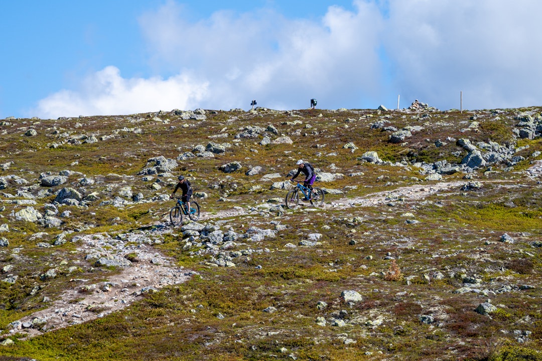 Fjellstien og Magic Moosefår selskap av nye heisbaserte stier i Trysil. Foto: Even Baardseth Fjellstien og Magic Moosefår selskap av nye heisbaserte stier i Trysil. Foto: Even Baardseth