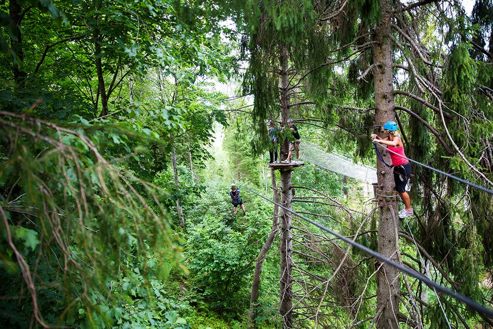 SPENNING: Hva med å klatre 105 trinn rett opp en gigantisk trestamme, for så å hoppe ut i tomme lufta? Høyt & Lavt-kjeden har tilsvarende parker også i Oslo, Nedstrand, Preikestolen, Sørum, Bø i Telemark, Hallingdal og Fjærland. Foto: Høyt & Lavt Vestfold SPENNING: Hva med å klatre 105 trinn rett opp en gigantisk trestamme, for så å hoppe ut i tomme lufta? Høyt & Lavt-kjeden har tilsvarende parker også i Oslo, Nedstrand, Preikestolen, Sørum, Bø i Telemark, Hallingdal og Fjærland. Foto: Høyt & Lavt Vestfold