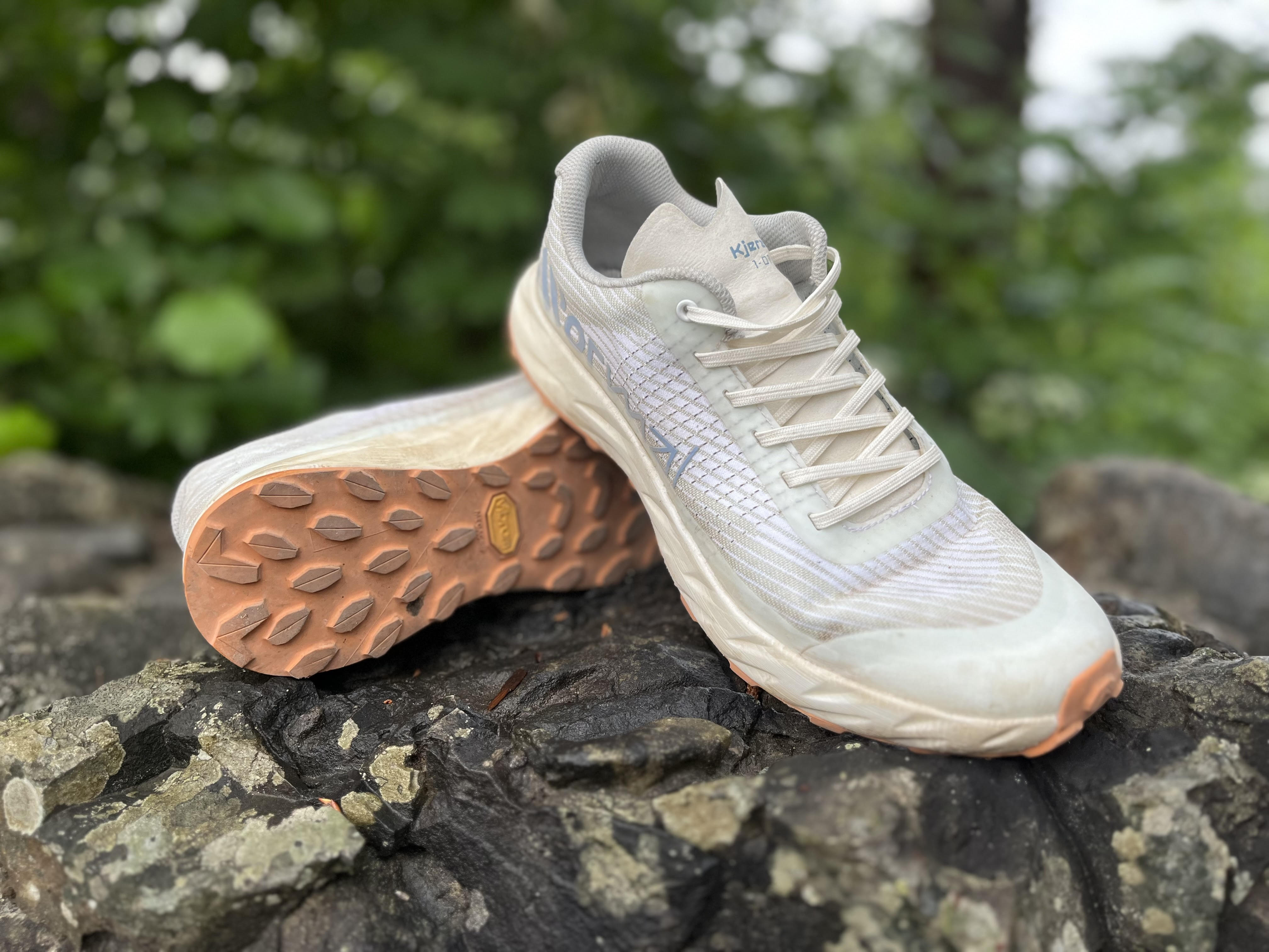 Dynaflyte 2 prisjakt hot sale