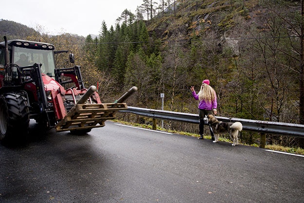 BYGDA: Planen var å ta bilete av Moa midt i den smale vegen, kor det nesten aldri køyrer bilar. I staden kom ein traktor med kjentfolk. Heimbygda og garden betyr mykje for Moa. Då ho var lita slutta ho i barnehagen fordi ho heller ville vere heime på garden. Foto: Line Hårklau moa_7_lav