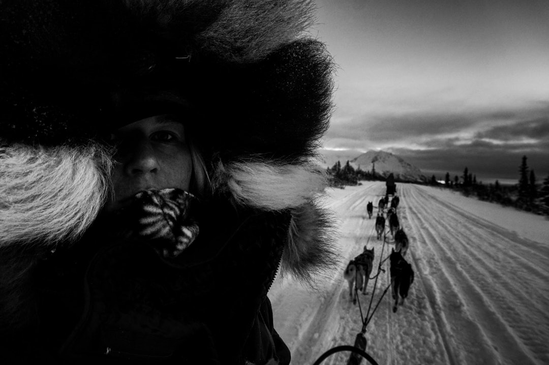 ALASKA: I Willow, Alaska, hjelpte Moa hundekøyraren Lisbet Skogen i Norris med førebuingane til Iditarod. Foto: Privat privat