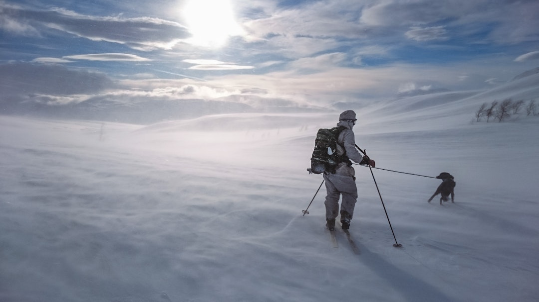 VINTERJAKT: Kjenner du den kalde vinden i bildet? Foto: Tom Olsen VINTERJAKT: Kjenner du den kalde vinden i bildet? Foto: Tom Olsen
