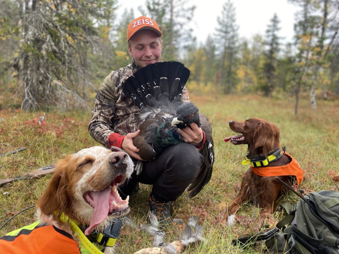 TIURFALL: Jaktglede på sitt beste blandt to- og firbeinte! Foto: Kristoffer Myhr. TIURFALL: Jaktglede på sitt beste blandt to- og firbeinte! Foto: Kristoffer Myhr.