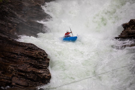 HYLLER VOSS: Det er favorittveko til regjerende verdenmester Zack Mutton som deltar i padlekonkurransen i Myrkdalselva. Foto: Fredrik Ouren Jostad Zack Mutton Holy Diver