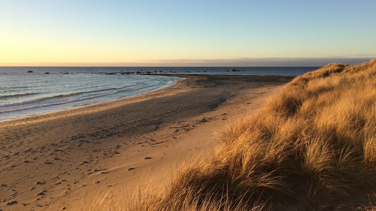 KVILJOSANDEN: Kviljoodden stikker seg ut som en spiss fra de flere kilometer lange sandstrendene på Listahalvøya. Det skal ha vært her ulykken skjedde. Foto: Listerfriluft.no KVILJOSANDEN: Kviljoodden stikker seg ut som en spiss fra de flere kilometer lange sandstrendene på Listahalvøya. Det skal ha vært her ulykken skjedde. Foto: Listerfriluft.no