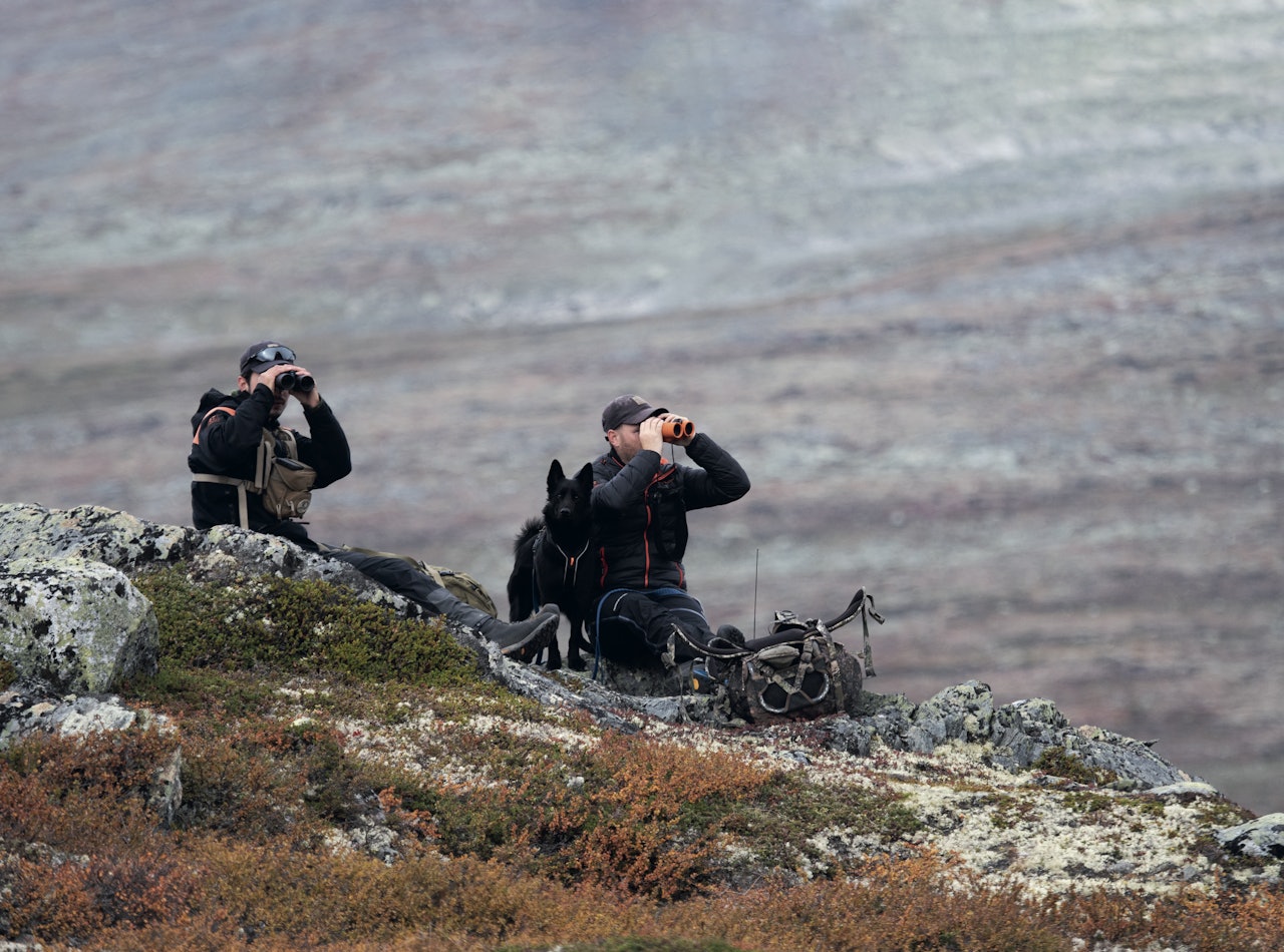 SER DEG: Simon Åsheim og Bjørn Sæther har plassert seg strategisk og følger med på jegerne i dalen under seg.