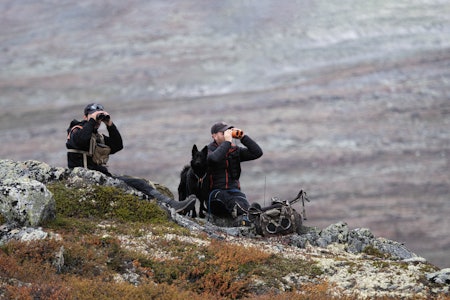 SER DEG: Simon Åsheim og Bjørn Sæther har plassert seg strategisk og følger med på jegerne i dalen under seg. SER DEG: Simon Åsheim og Bjørn Sæther har plassert seg strategisk og følger med på jegerne i dalen under seg.