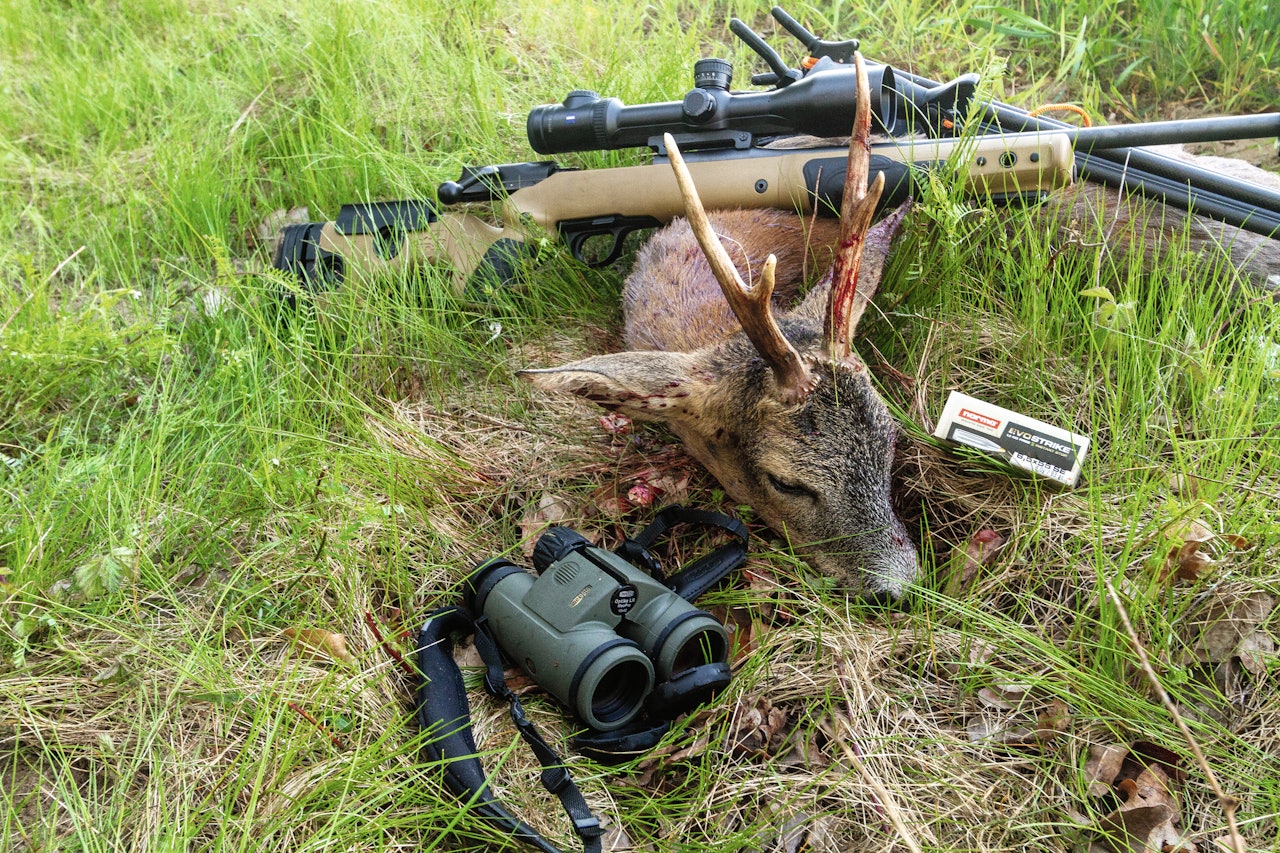 Bra utstyr er viktig når holdene blir drøye og lyset dårlig. norma evostrike felt bukk jaktutstyr ammunisjon