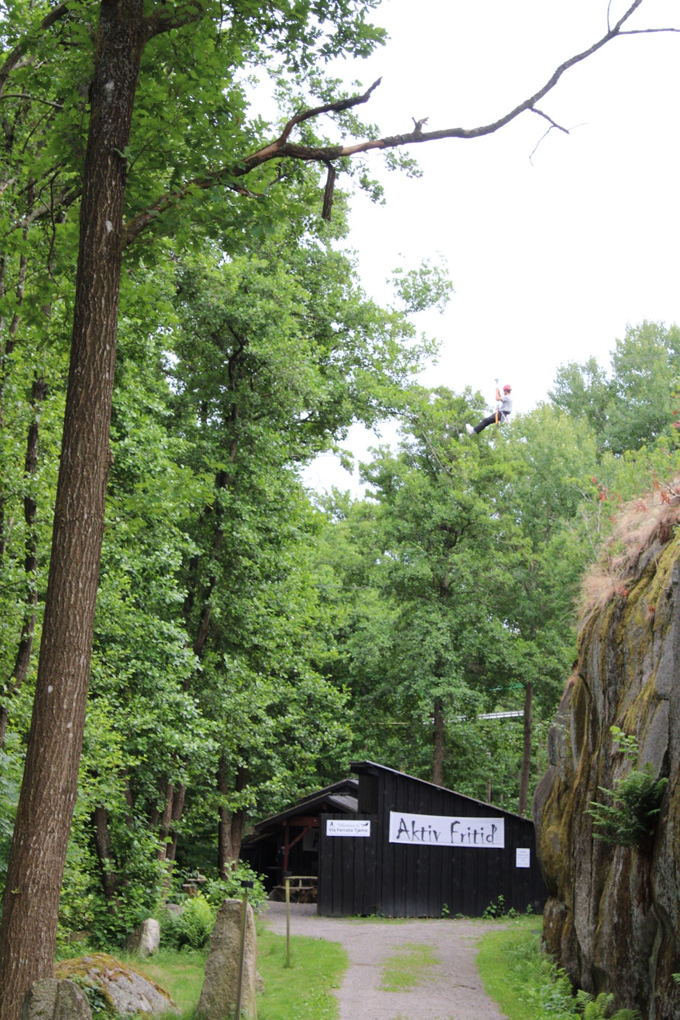 BASE CAMP: Legg merke til den svevende skikkelsen ved tretoppene. Foto: Gjendine Eidslott.