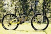 haibike lyke 11 test