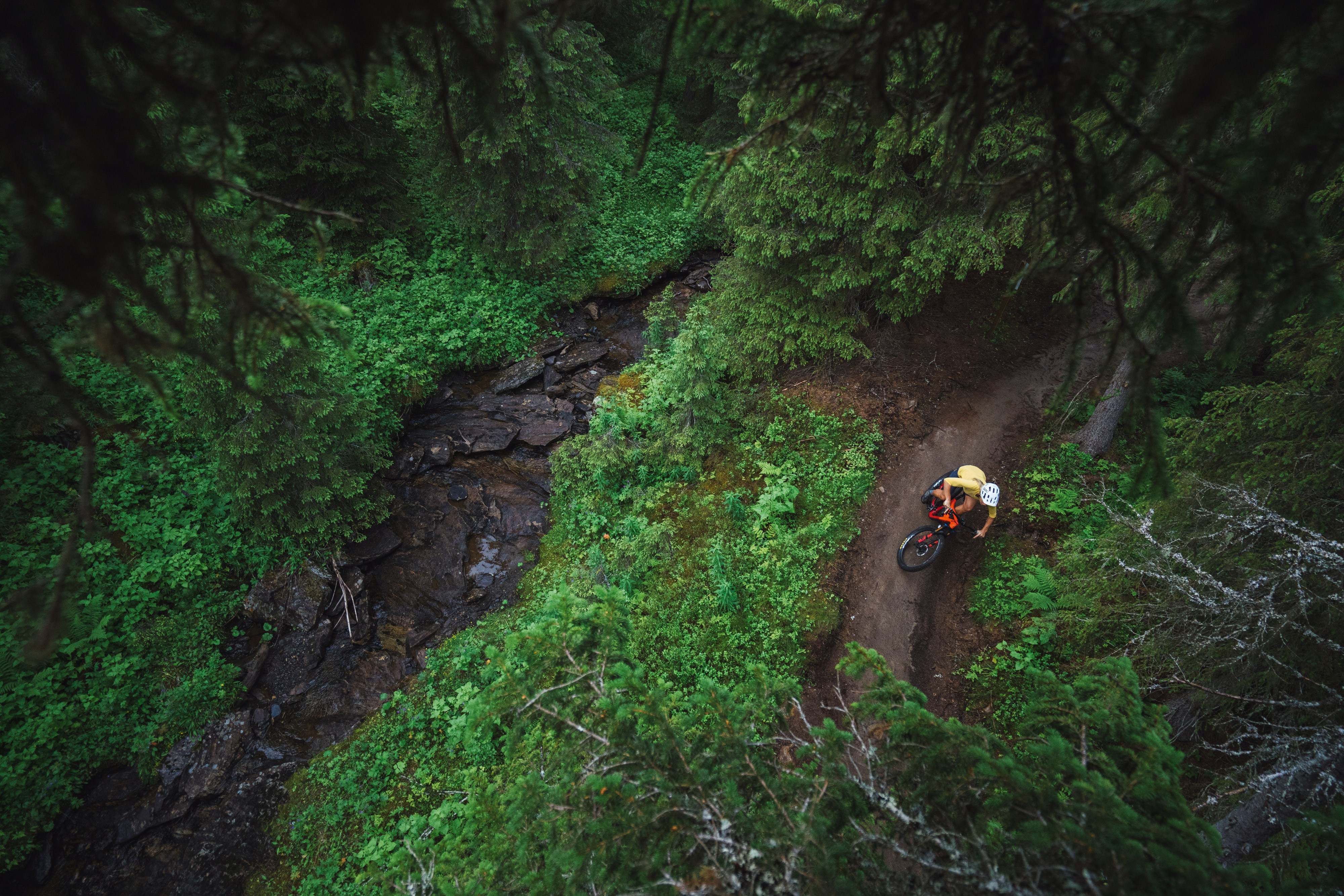 BJØRNEN KOMMER! Elin Nilsson skjærer gjennom grønsken på Kopparn i Björnen
