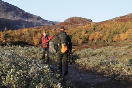 Hold avtalene: Når du jakter sammen med andre, er det viktig å avklare hvordan dere skal jakte, og å holde avtalen. Hold avtalene: Når du jakter sammen med andre, er det viktig å avklare hvordan dere skal jakte, og å holde avtalen.
