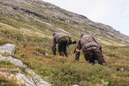 Lav smyging: Jo nærmere man kommer byttet, desto lavere kroppsføring om terrenget er åpent. Men dette er utfordrende og ofte kommer man ikke lavt nok. Der hvor det burde vært åling blir det gjerne at man i stedet avanserer på huk. Lav smyging: Jo nærmere man kommer byttet, desto lavere kroppsføring om terrenget er åpent. Men dette er utfordrende og ofte kommer man ikke lavt nok. Der hvor det burde vært åling blir det gjerne at man i stedet avanserer på huk.