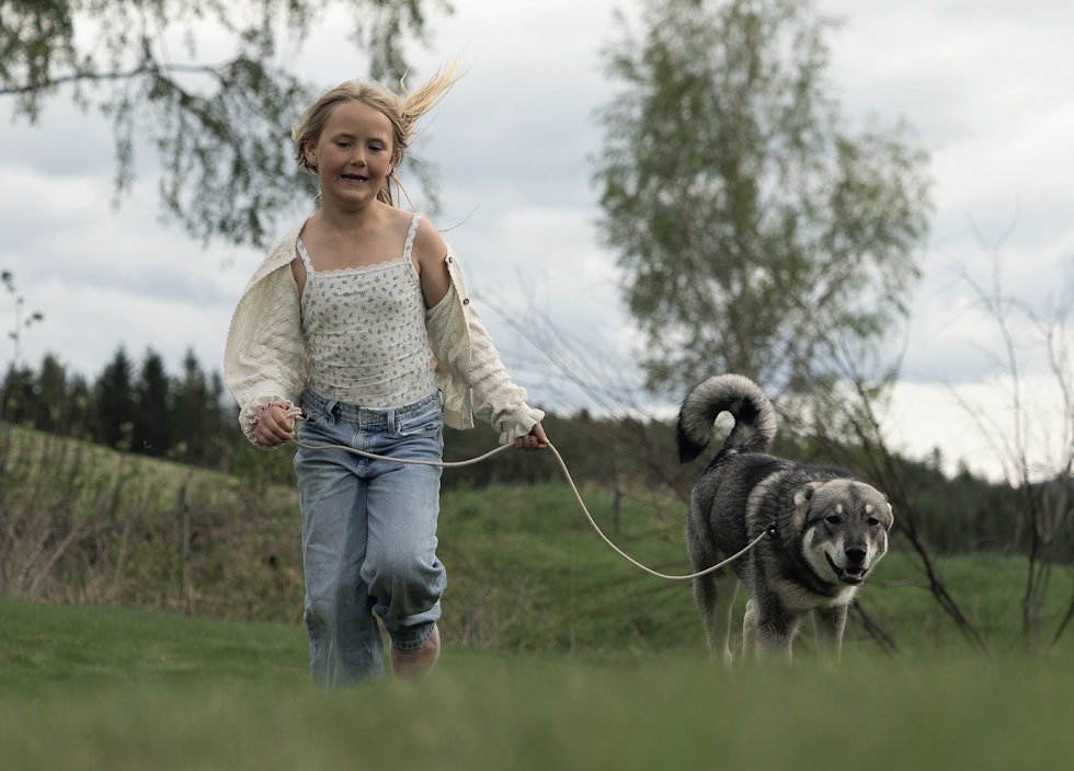 Barn og hunder kan bli gode venner – men hunden bør ikke overlates alene til små unger.