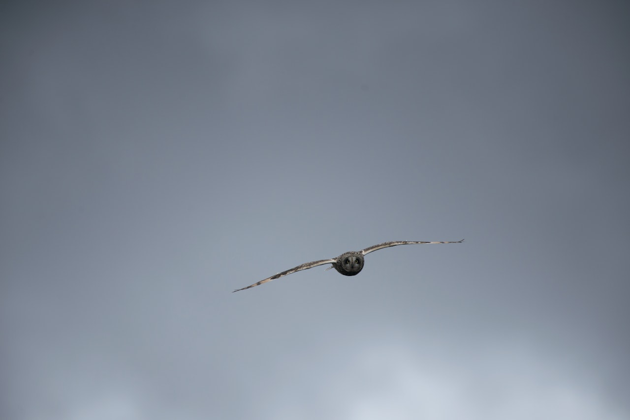 Foto: Nils-Olav Talgøy Foto: Nils-Olav Talgøy