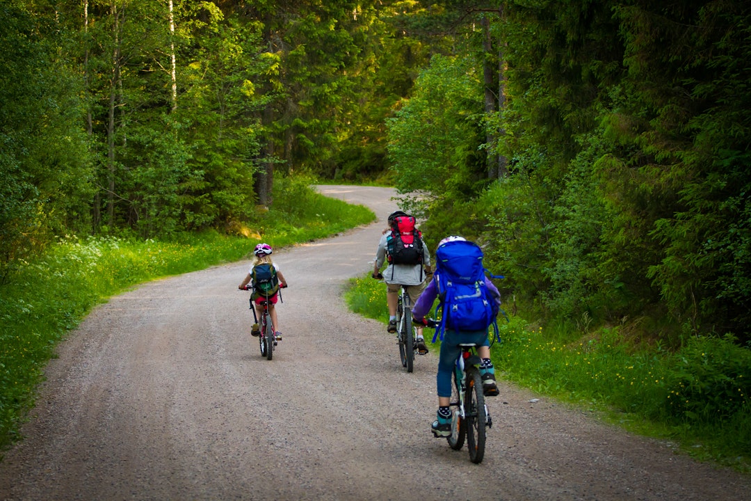 AKTIVITET: I anbefalingen skriver Statsforvalteren at ordinære turer med familie og venner, og organisert trening ikke skal regnes som organisert ferdsel. Foto: Snorre Veggan. nasjonalpark østmarka sykling