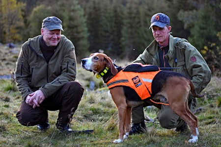 AFFI: Finstøveren Affi gir mye glede i skogen for eierne Rune (til venstre) og Jan Olav Smerud. AFFI: Finstøveren Affi gir mye glede i skogen for eierne Rune (til venstre) og Jan Olav Smerud.