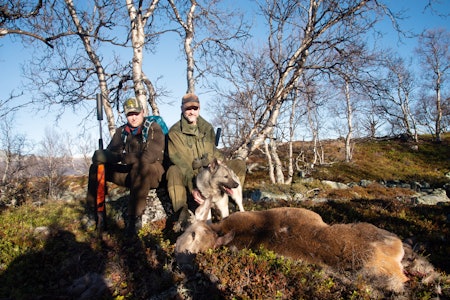 Bandhundjakt: Årets siste hjort er felt for bandhund i øverste bjørkeskogen. Fra venstre Olav Dalum og Guttorm Bentdal med gråhunden Ask.