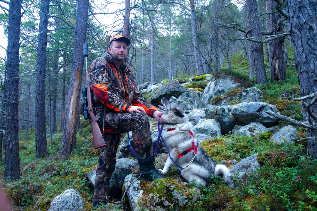 Med bandhund etter hjorten: Jaktleder Jann Erik Dalum med gråhunden Reina.