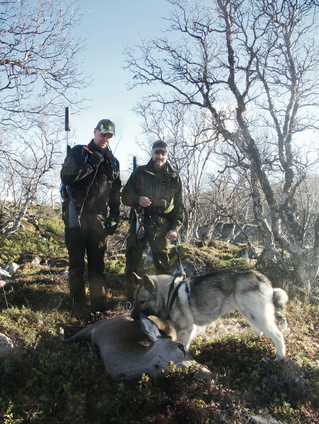 Bandhund og hjort: Olav Dalum (til venstre)og Guttorm Bentdal med hind felt for gråhunden Ask.