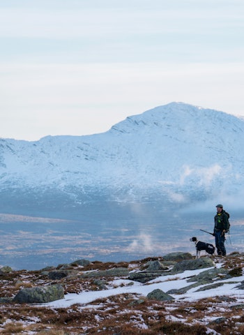 Blåfjella: Det er store villmarksområder å by på i Lierne, helt nord i Trøndelag. Dette er et eldorado for fuglejegeren. Blåfjella: Det er store villmarksområder å by på i Lierne, helt nord i Trøndelag. Dette er et eldorado for fuglejegeren.