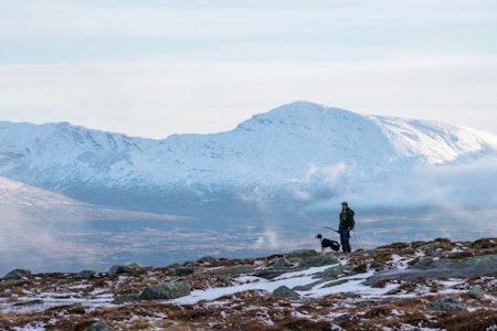 Blåfjella: Det er store villmarksområder å by på i Lierne, helt nord i Trøndelag. Dette er et eldorado for fuglejegeren. Blåfjella: Det er store villmarksområder å by på i Lierne, helt nord i Trøndelag. Dette er et eldorado for fuglejegeren.