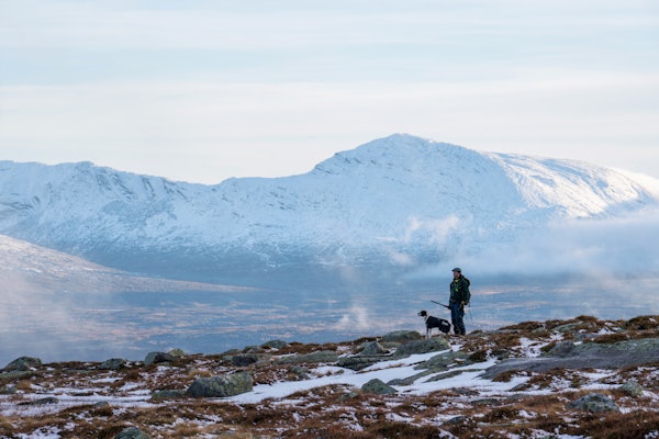 Blåfjella: Det er store villmarksområder å by på i Lierne, helt nord i Trøndelag. Dette er et eldorado for fuglejegeren. Blåfjella: Det er store villmarksområder å by på i Lierne, helt nord i Trøndelag. Dette er et eldorado for fuglejegeren.