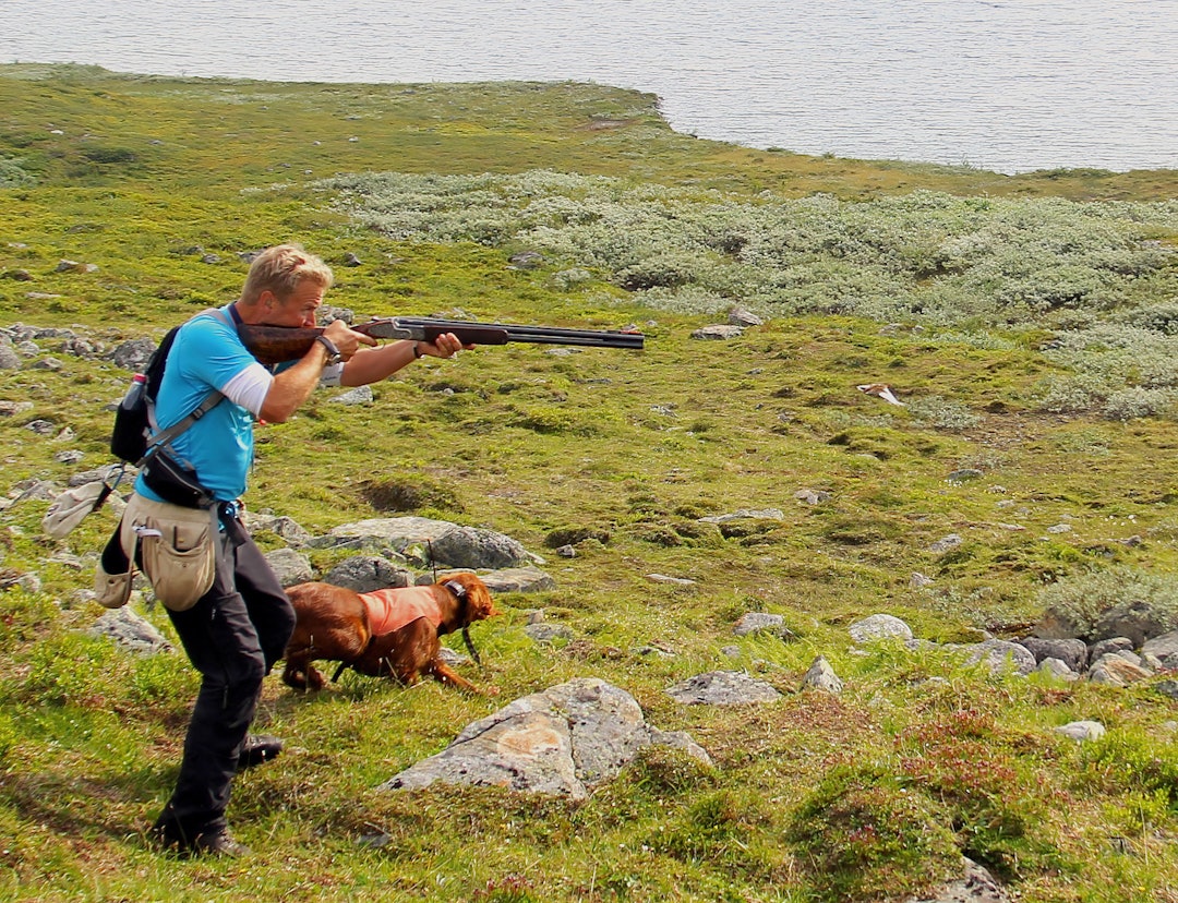 Uten reaksjon: En stående fuglehund skal takle at skudd avgis i umiddelbar nærhet uten å reagere poengterer Mattias Westerlund.