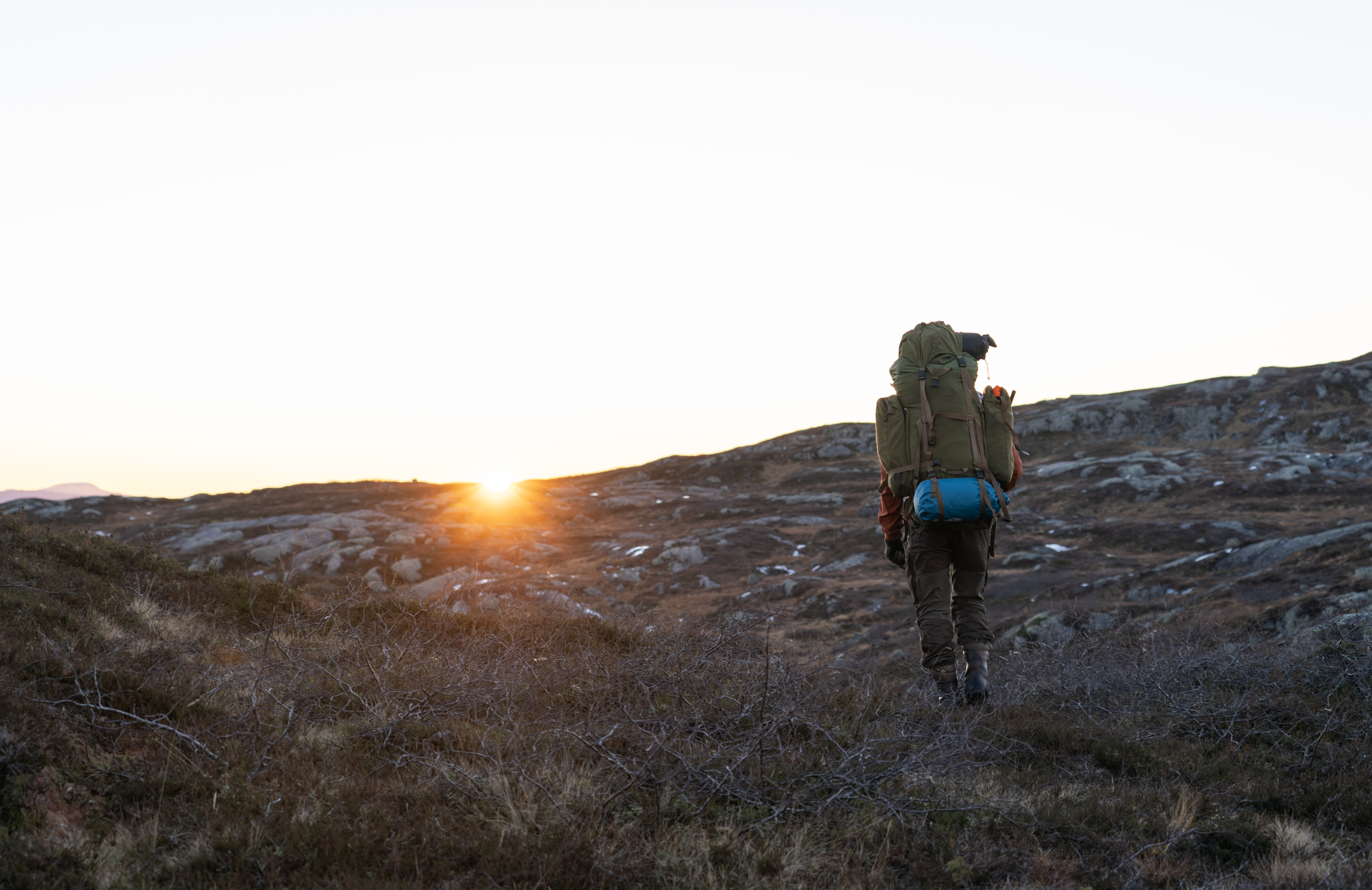 Utfordrende rypejakt etter hvite ryper på barmark | JEGER.NO