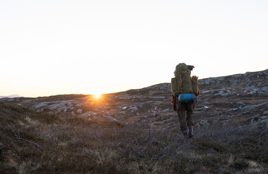 EVENTYRLIG: Etter to eventyrlige dager på rypejakt i Snåsafjella, med åtte ryper hver i sekken og minner for livet, kunne vi tilfreds gå hjem og inn i solnedgangen.