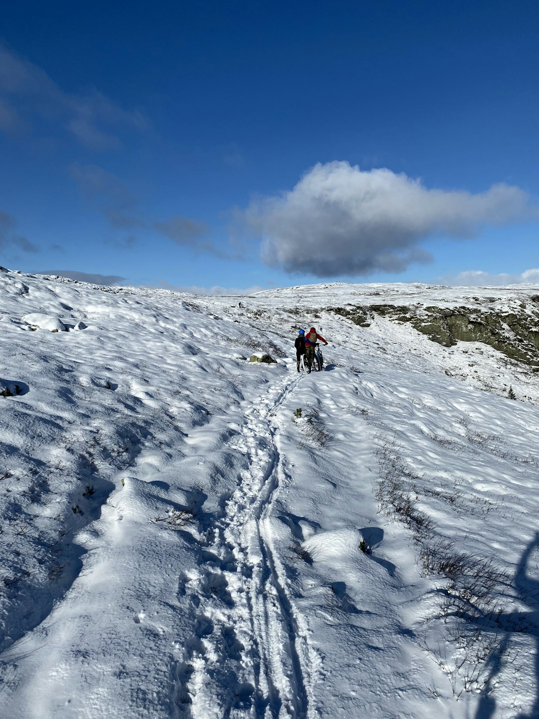 MYE LATTER: – Turen ned gikk i følge guidene i perfekt feste, perfekt styresnø og ble den turen i år med mest latter, sier Hamre. Foto: Kjell Arne Høyesveen MYE LATTER: – Turen ned gikk i følge guidene i perfekt feste, perfekt styresnø og ble den turen i år med mest latter, sier Hamre. Foto: Kjell Arne Høyesveen